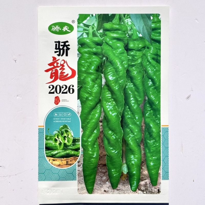 骄龙2026无限生长绿色大果陇椒种子中早熟半麻面钝尖高产