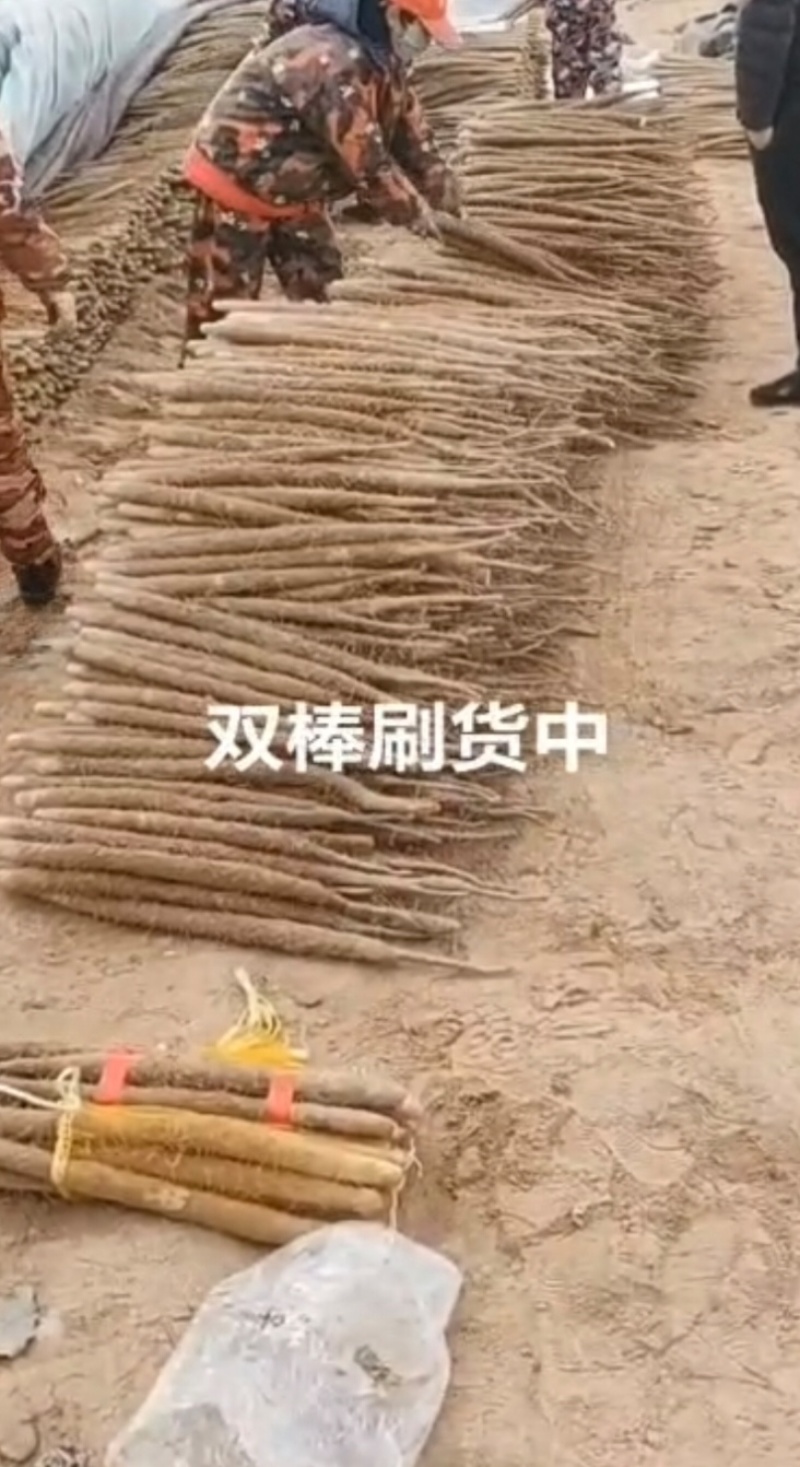 安阳内黄山药双棒山药价格实惠量大从优全国发货商超