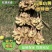 优质二黄姜，生姜产地，直供一手货源，品质保证，价格从优