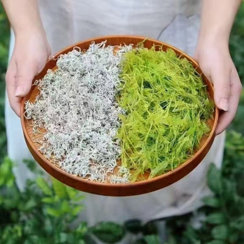 恩施藤茶