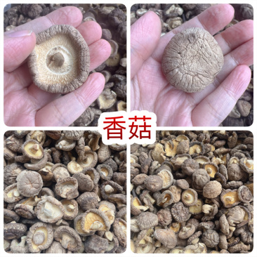 香菇地摊电商批发香菇干冬菇花菇香菇干货批发