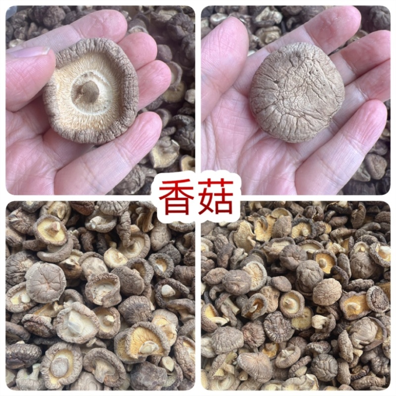 香菇地摊电商批发香菇干冬菇花菇香菇干货批发