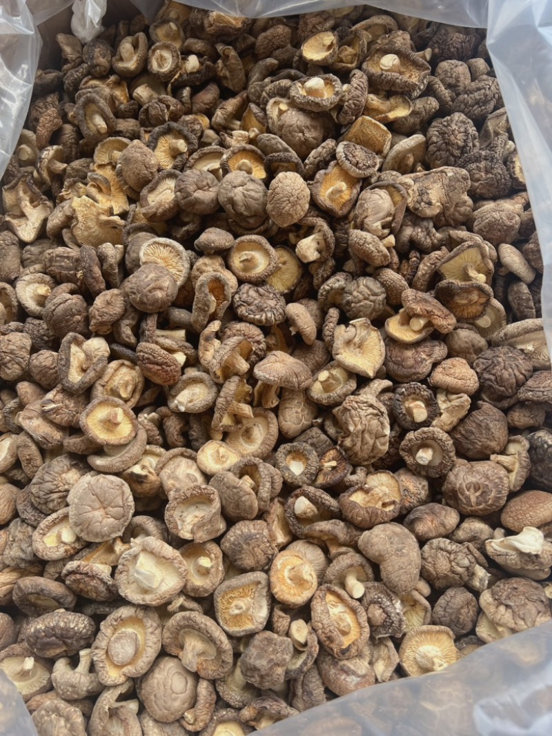 香菇地摊电商批发香菇干冬菇花菇香菇干货批发