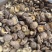 香菇地摊电商批发香菇干冬菇花菇香菇干货批发