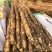 垆士温县山药铁棍山药量大从优实力代发全国商超