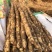垆士温县山药铁棍山药量大从优实力代发全国商超