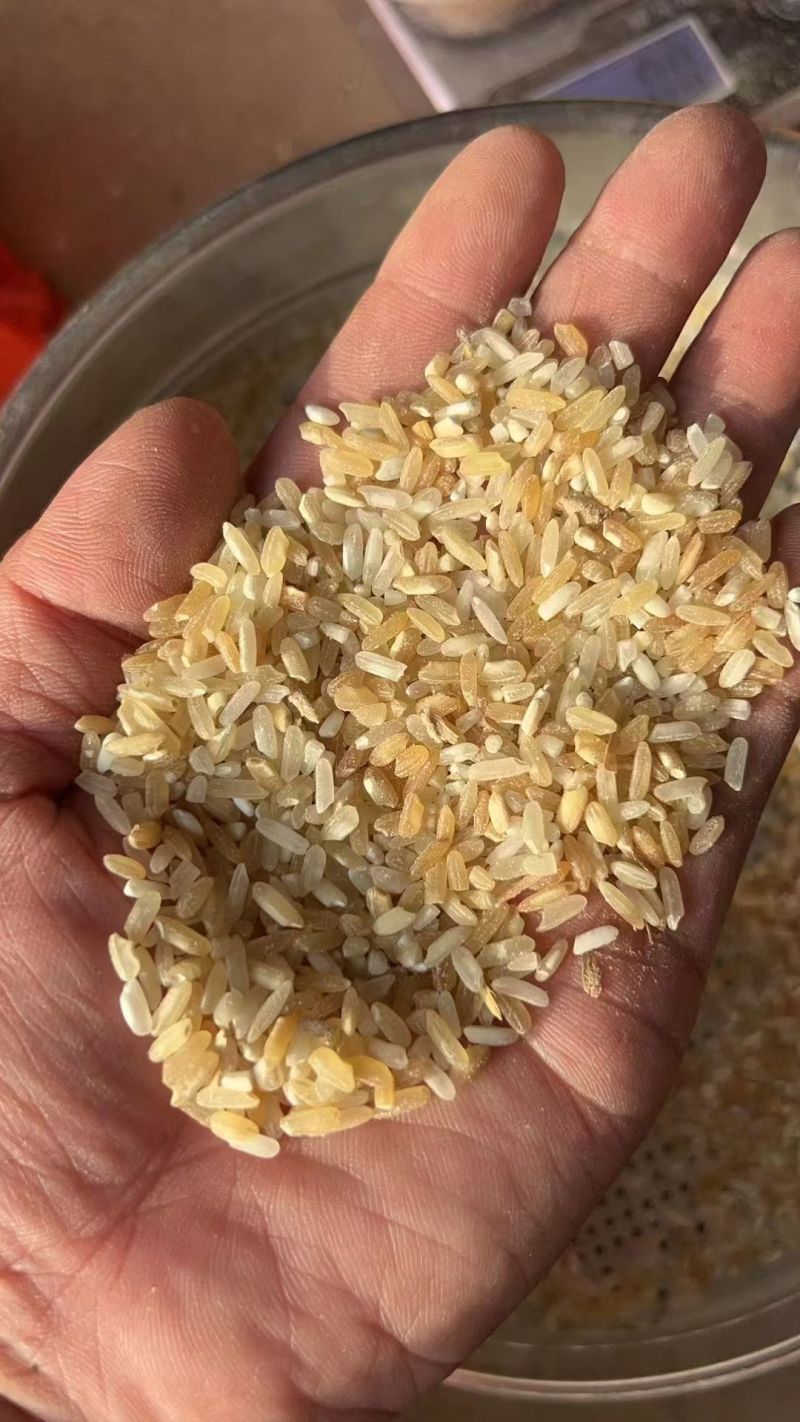 25年饲料稻谷，做酒稻谷，鸡鸭鹅稻谷。