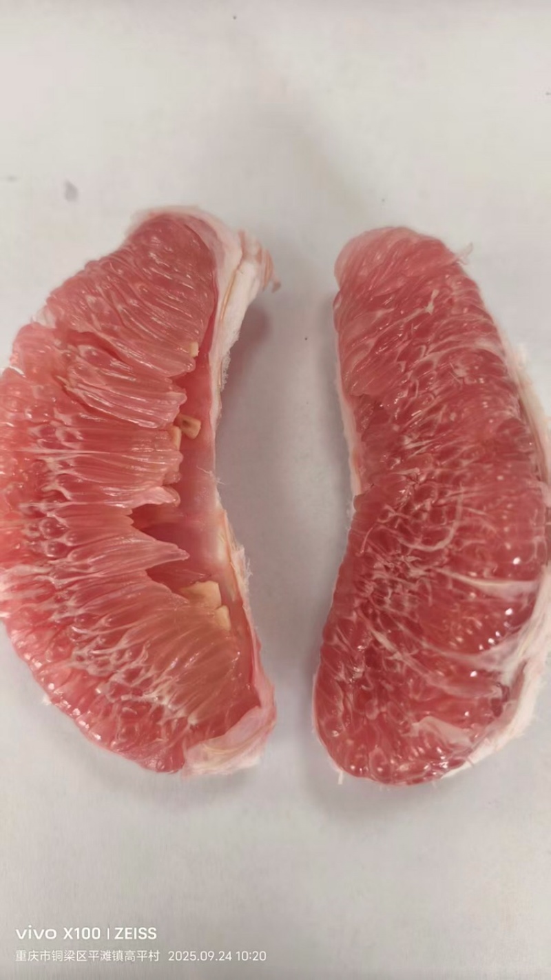 重庆铜梁套袋三红柚三百多万斤，滞销有意商家请联系，糖度高
