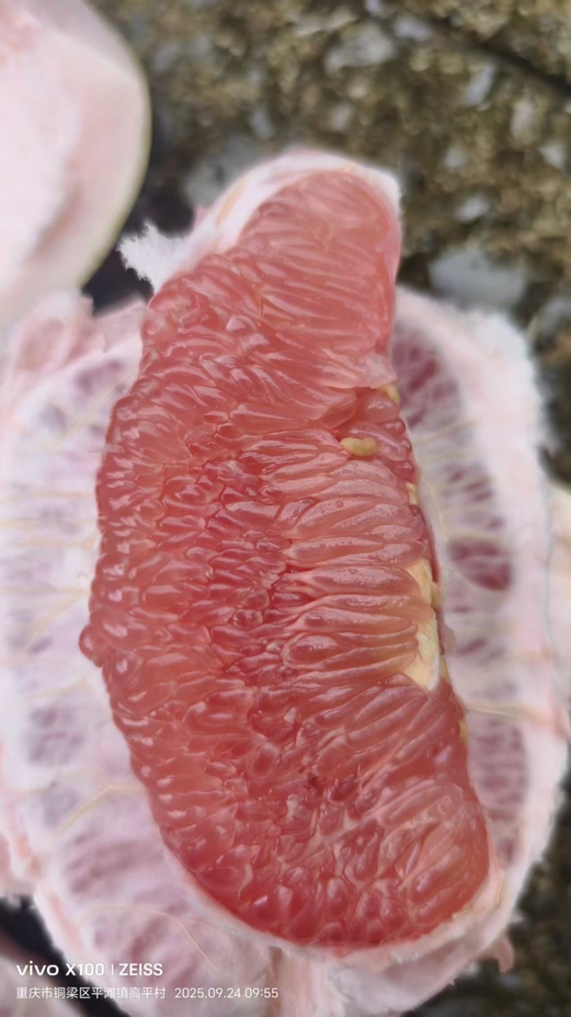 重庆铜梁套袋三红柚三百多万斤，滞销有意商家请联系，糖度高