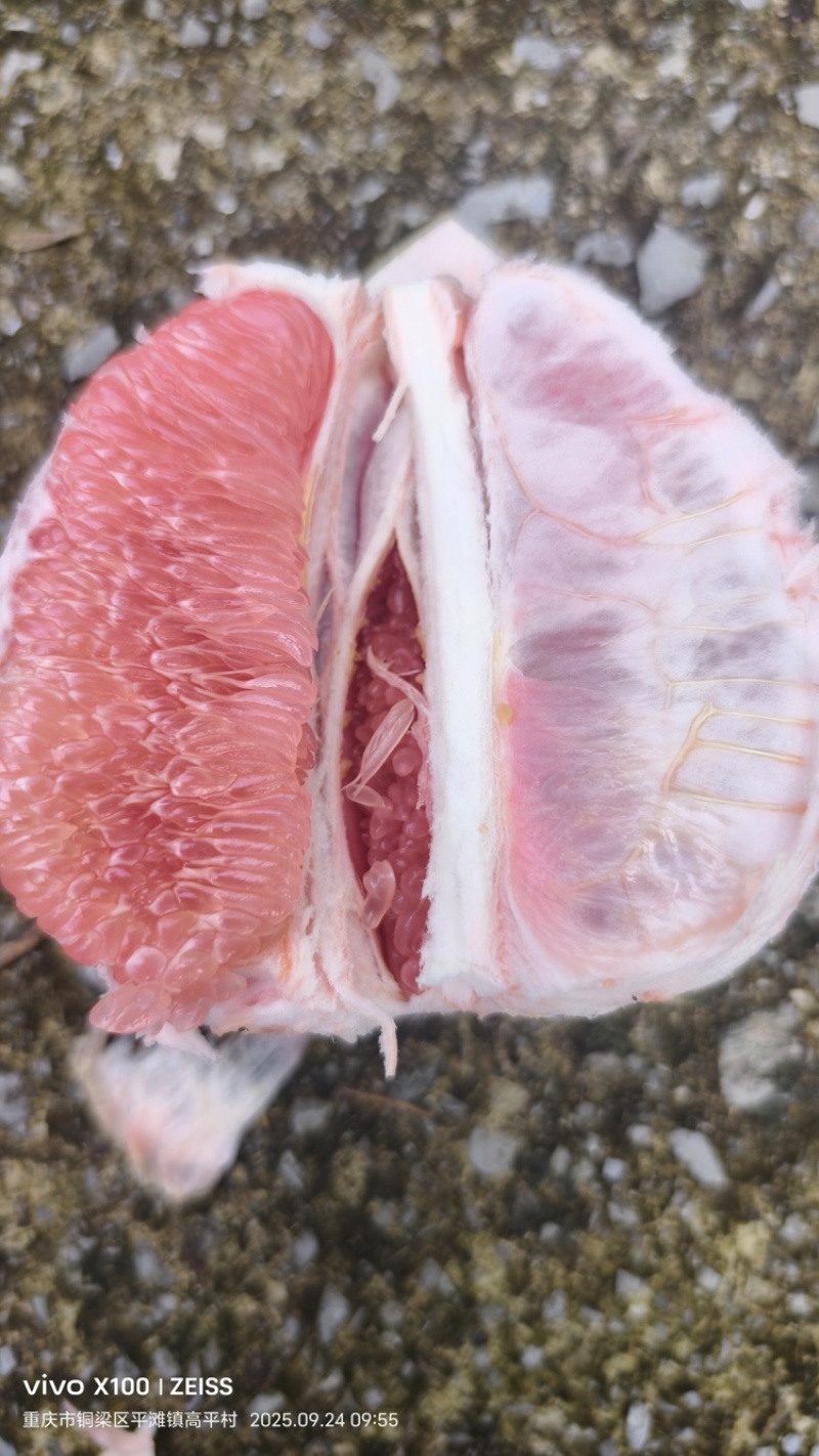 重庆铜梁套袋三红柚三百多万斤，滞销有意商家请联系，糖度高