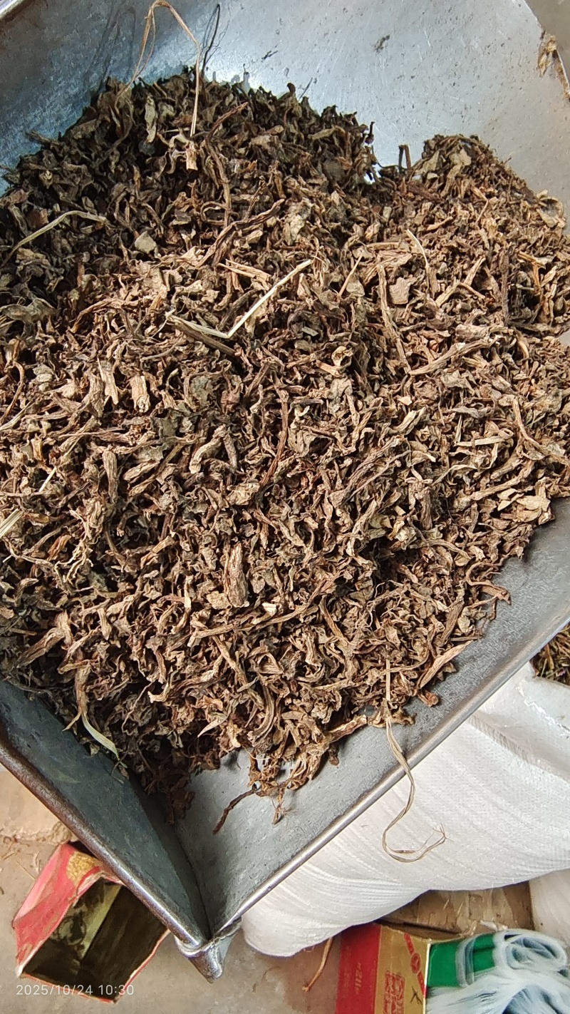 马齿苋河北干货药食同源散装量大从优