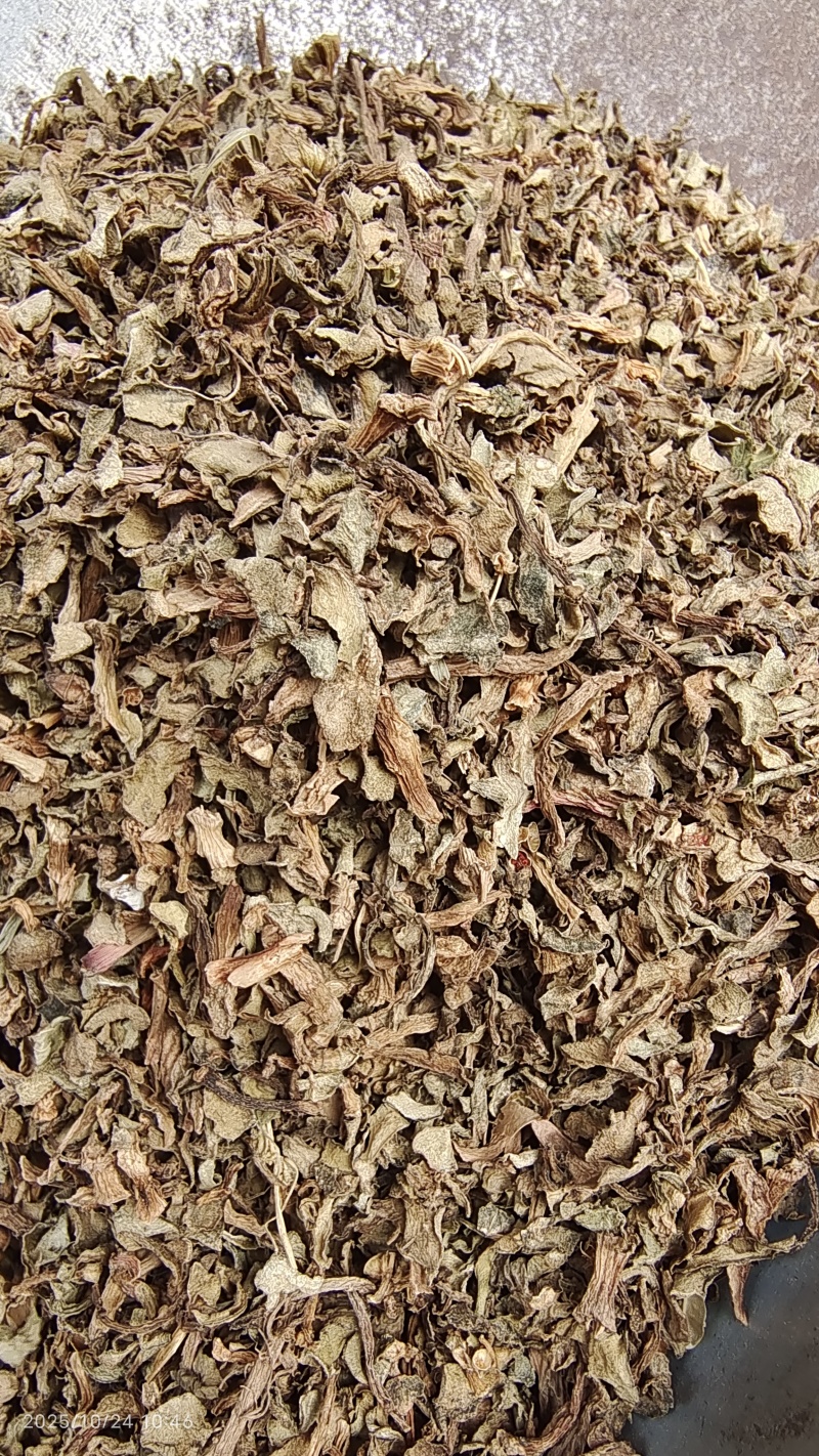 马齿苋河北干货药食同源散装量大从优