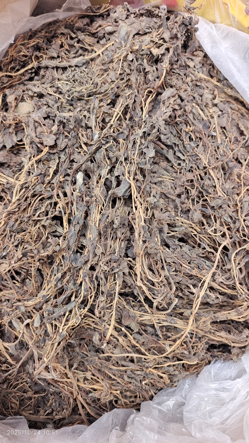 马齿苋河北干货药食同源散装量大从优