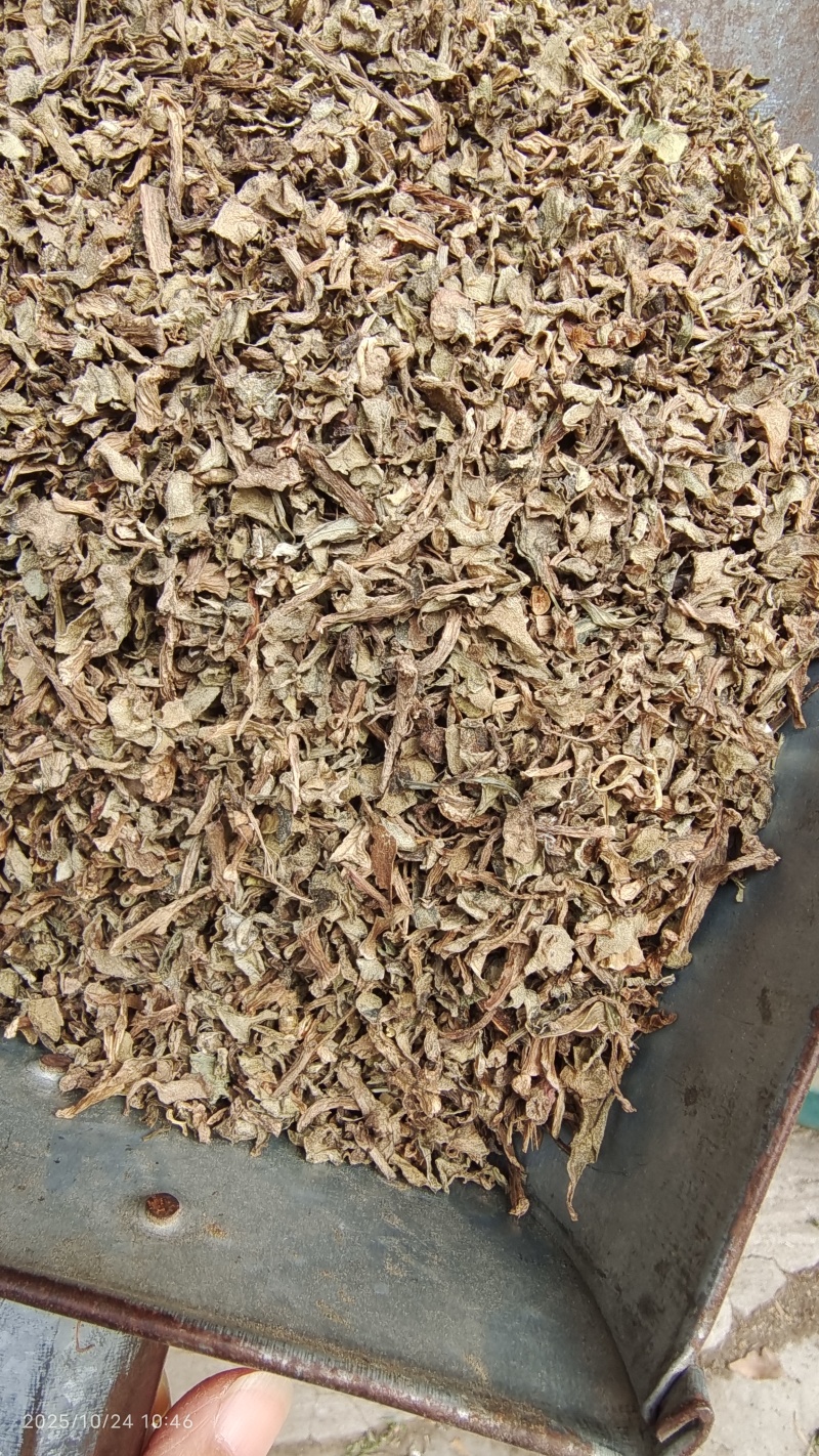 马齿苋河北干货药食同源散装量大从优