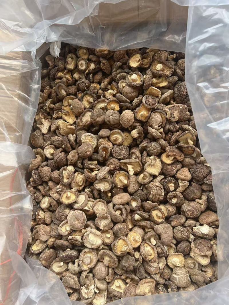 香菇地摊电商批发香菇干冬菇花菇香菇干货批发