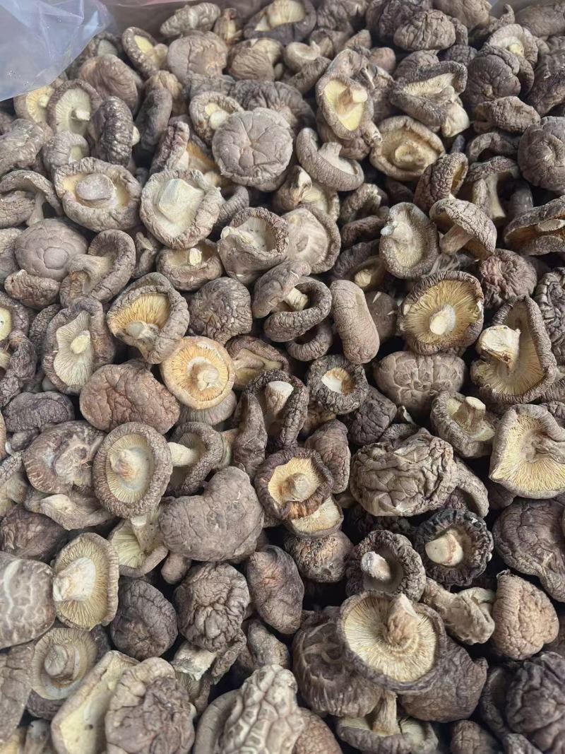 香菇地摊电商批发香菇干冬菇花菇香菇干货批发