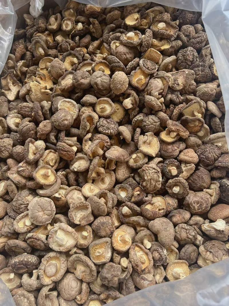 香菇地摊电商批发香菇干冬菇花菇香菇干货批发