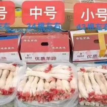 羊蹄批发长期供货量大价优对接市场商超欢迎老板联系