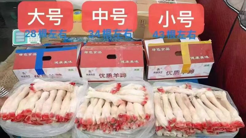 羊蹄批发长期供货量大价优对接市场商超欢迎老板联系