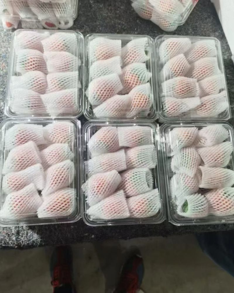 宁玉草莓对接各大市场电商团队连锁商超规格齐全欢迎实地看货