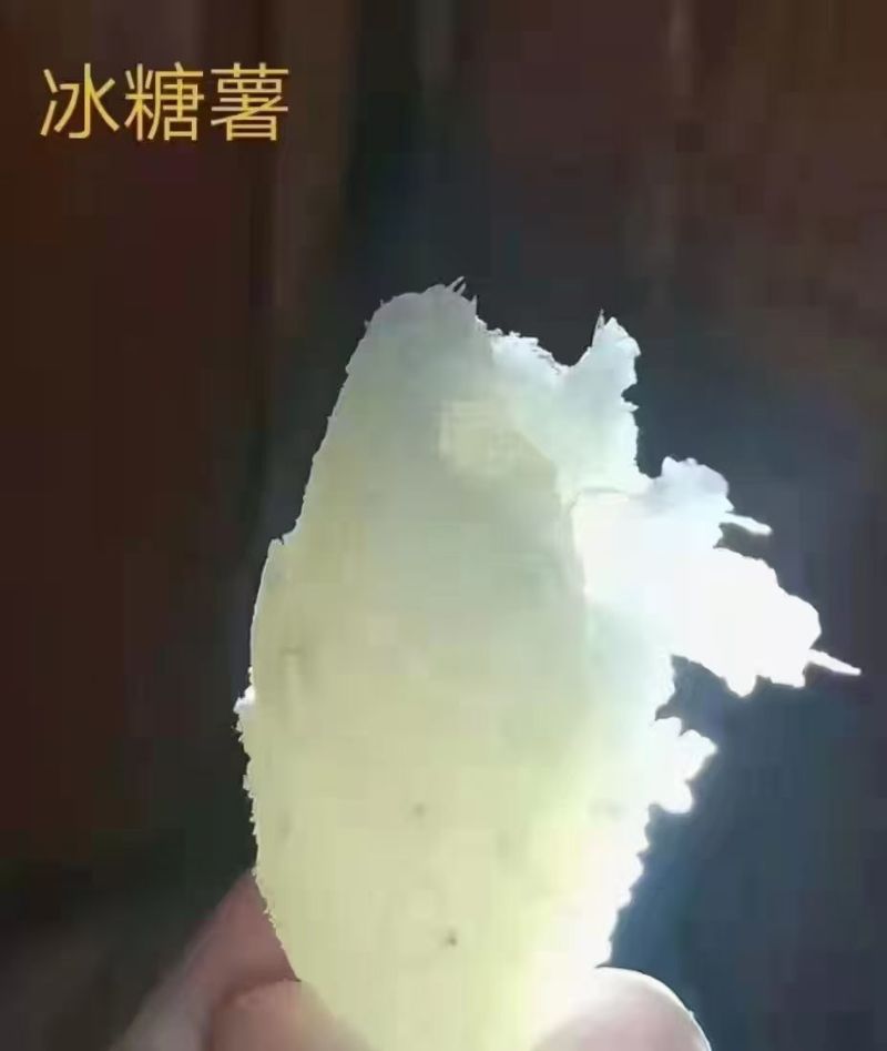 哈蜜红薯大量现货有需要的联系我