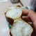 哈蜜红薯大量现货有需要的联系我