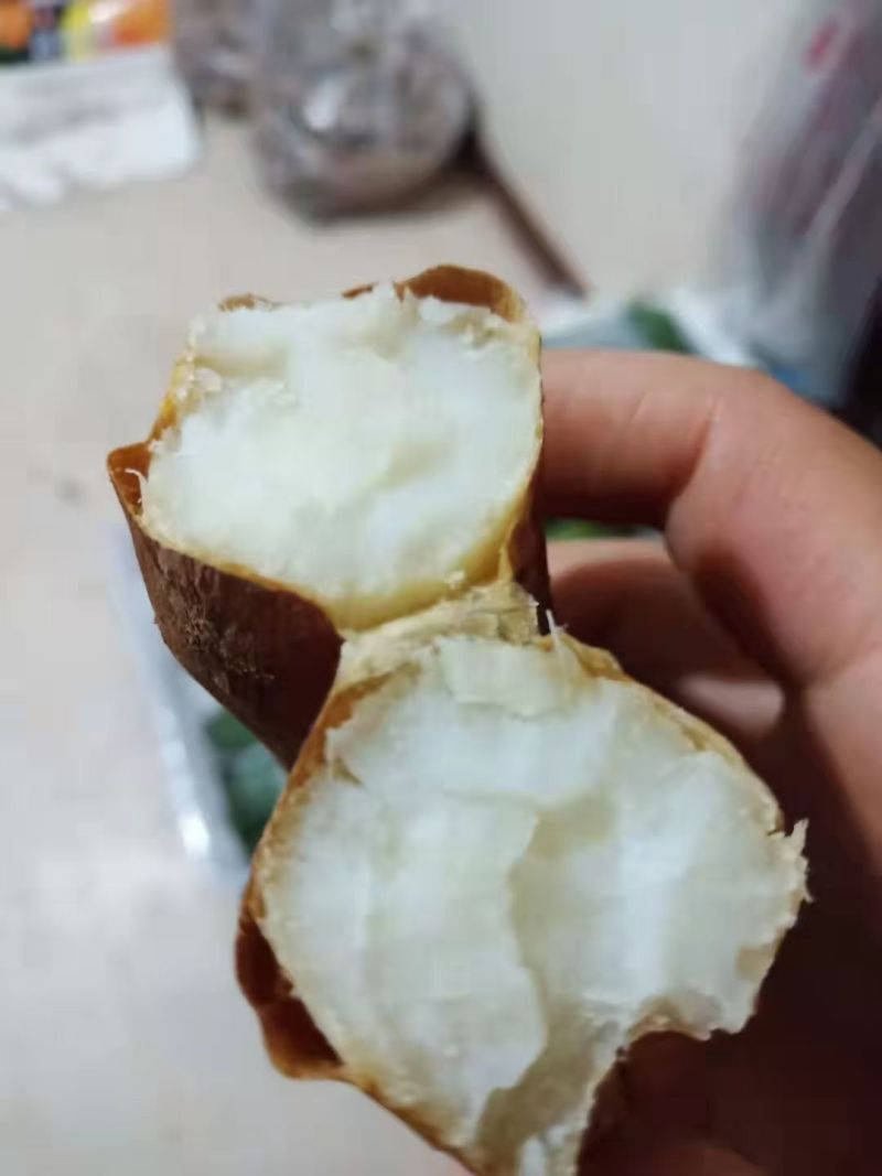 哈蜜红薯大量现货有需要的联系我
