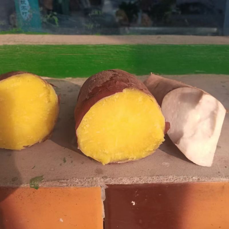哈蜜红薯大量现货有需要的联系我