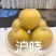 沪晓梨苗中熟风味浓郁