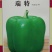 瑞特菜椒青椒柿子椒大果甜椒一包十克正品包邮
