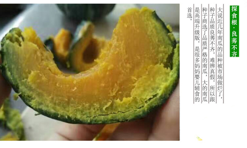 （牛）山东潍坊贝贝南瓜大量上市质优价廉欢迎进店选购