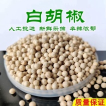 白胡椒香料胡椒无硫***各种规格香料大全