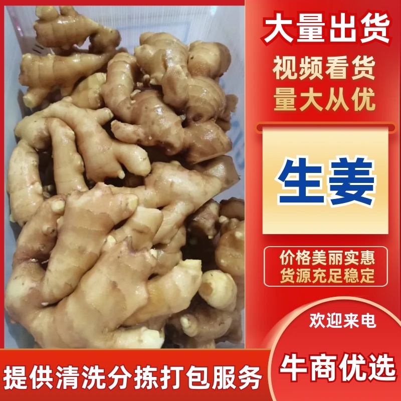 （牛）山东潍坊生姜大量上市泥姜水洗风干供商超、出口、电商