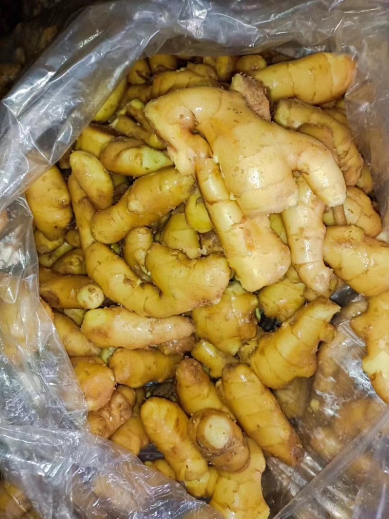 （牛）山东潍坊生姜大量上市泥姜水洗风干供商超、出口、电商