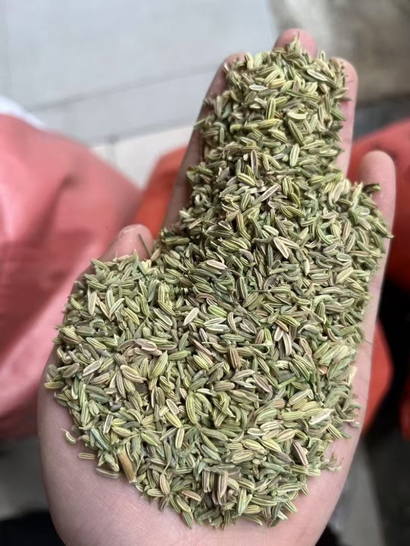 小茴香香料茴香无硫***增香提味卤肉火锅各种香料齐全