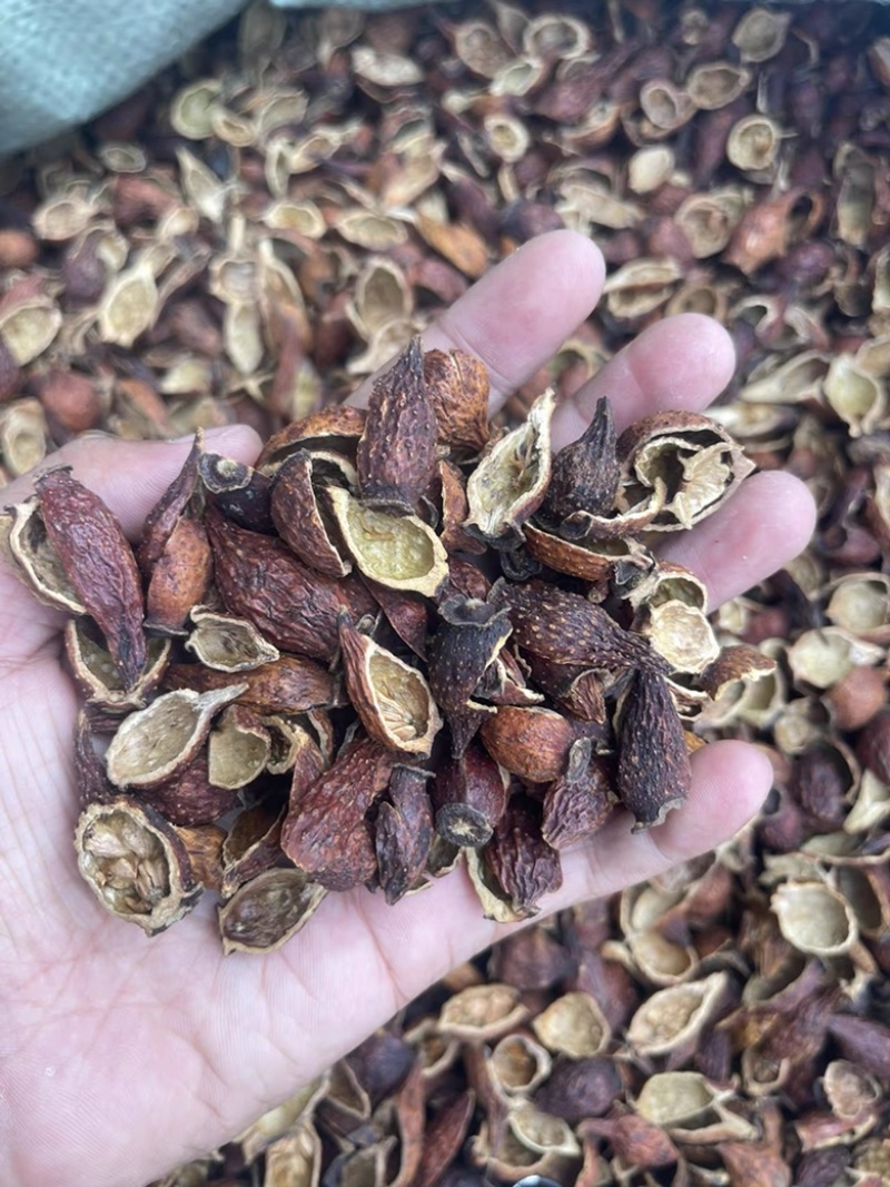 金樱子金樱子肉中药材金英子果实泡酒料新货无硫批发零售