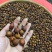 金樱子金樱子肉中药材金英子果实泡酒料新货无硫批发零售