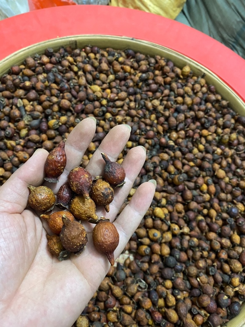 金樱子金樱子肉中药材金英子果实泡酒料新货无硫批发零售