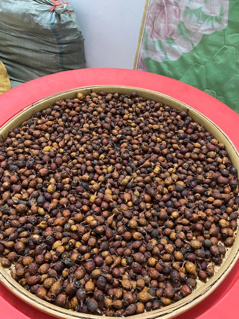 金樱子金樱子肉中药材金英子果实泡酒料新货无硫批发零售