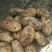现挖甘肃陇薯7号炸薯片土豆马铃薯