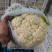 优质新梗白面小米粒松花菜