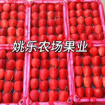 辽宁鸡心果又名锦绣海棠果，口感脆甜多汁