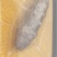 海参小米粥，金汤杂粮，用海参筒骨土鸡鲜炖熬制汤底。