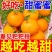 耙耙柑四川耙耙柑现摘现发支持一件代发电商欢迎咨询
