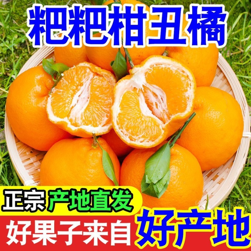 耙耙柑丑橘皮薄多汁纯甜无渣新鲜采摘支持一件代发电商