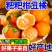 耙耙柑丑橘皮薄多汁纯甜无渣新鲜采摘支持一件代发电商
