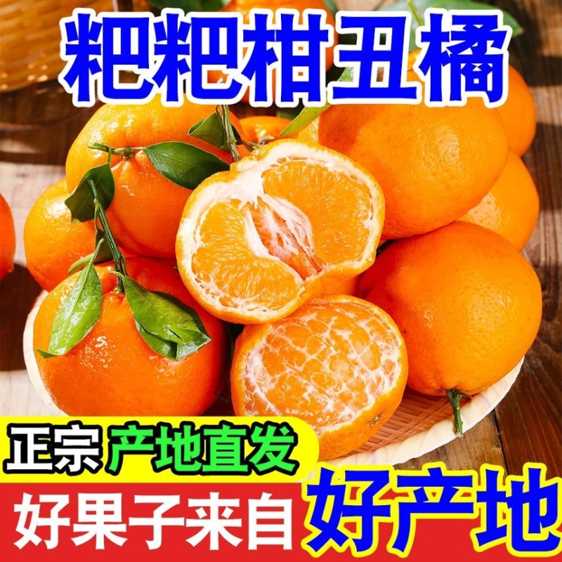 耙耙柑丑橘皮薄多汁纯甜无渣新鲜采摘支持一件代发电商
