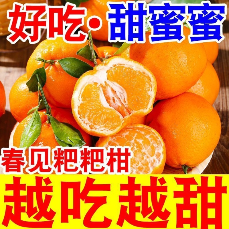 耙耙柑丑橘皮薄多汁纯甜无渣新鲜采摘支持一件代发电商