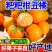 耙耙柑丑橘皮薄多汁纯甜无渣新鲜采摘支持一件代发电商