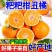 耙耙柑丑橘皮薄多汁纯甜无渣新鲜采摘支持一件代发电商